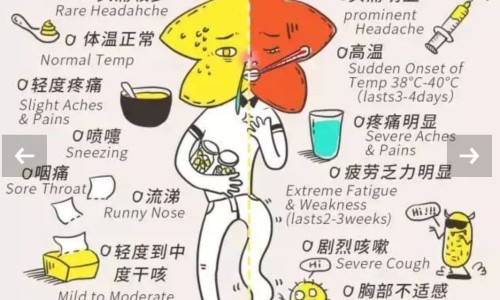 蜂蜜洗脸对皮肤好吗-权威蜂蜜洗脸的正确方法平台,分享专业蜂蜜洗脸知识_蜂蜜洗脸效果好不好网